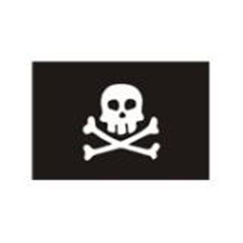 Pirate skull and bone flag