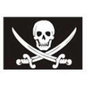 Crane pirate flag and swords