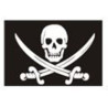 Crane pirate flag and swords