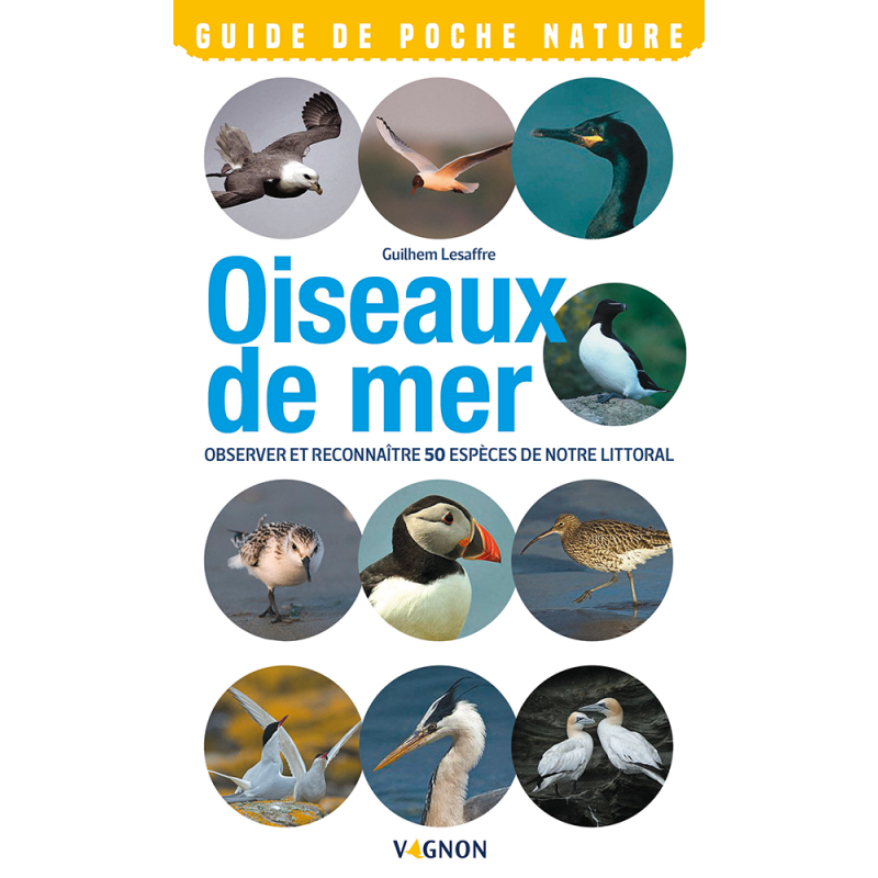 Guide de poche nature : Oiseaux de mer