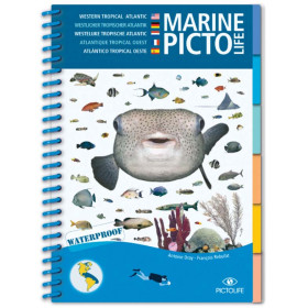 Guide marine Pictolife - Atlantique Tropical Ouest