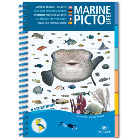 Pictolife Marine Guide - West Tropical Atlantic