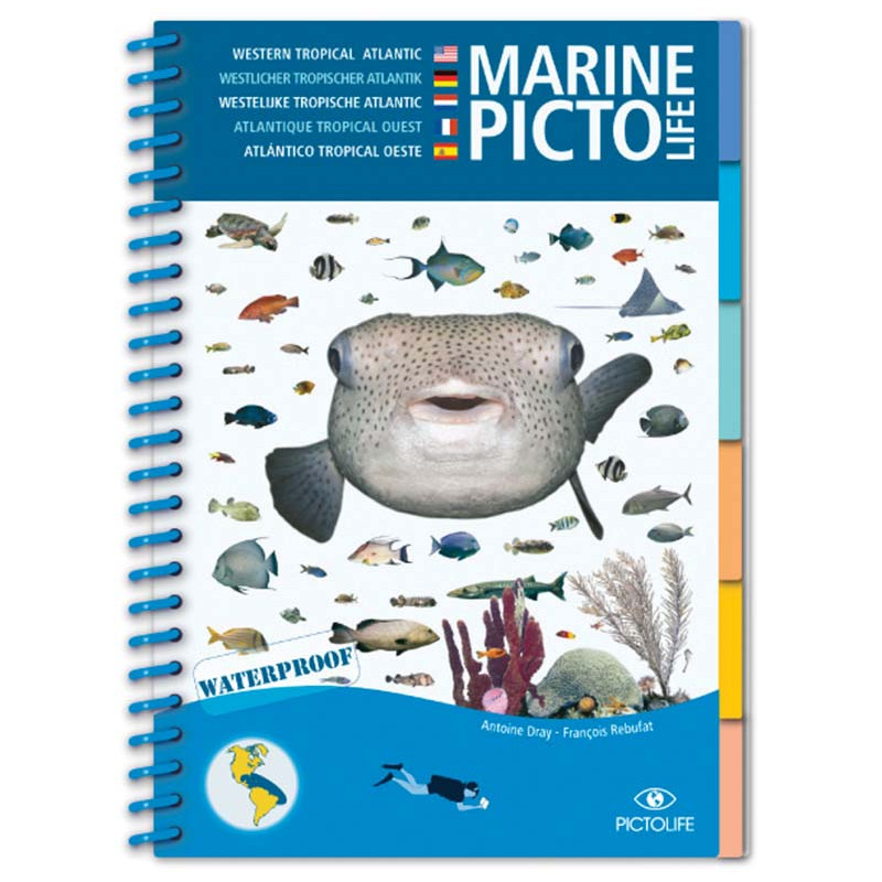 Guide marine Pictolife - Atlantique Tropical Ouest