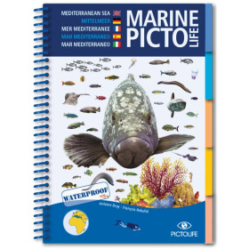 Guide marine Pictolife - Mer Méditerranée