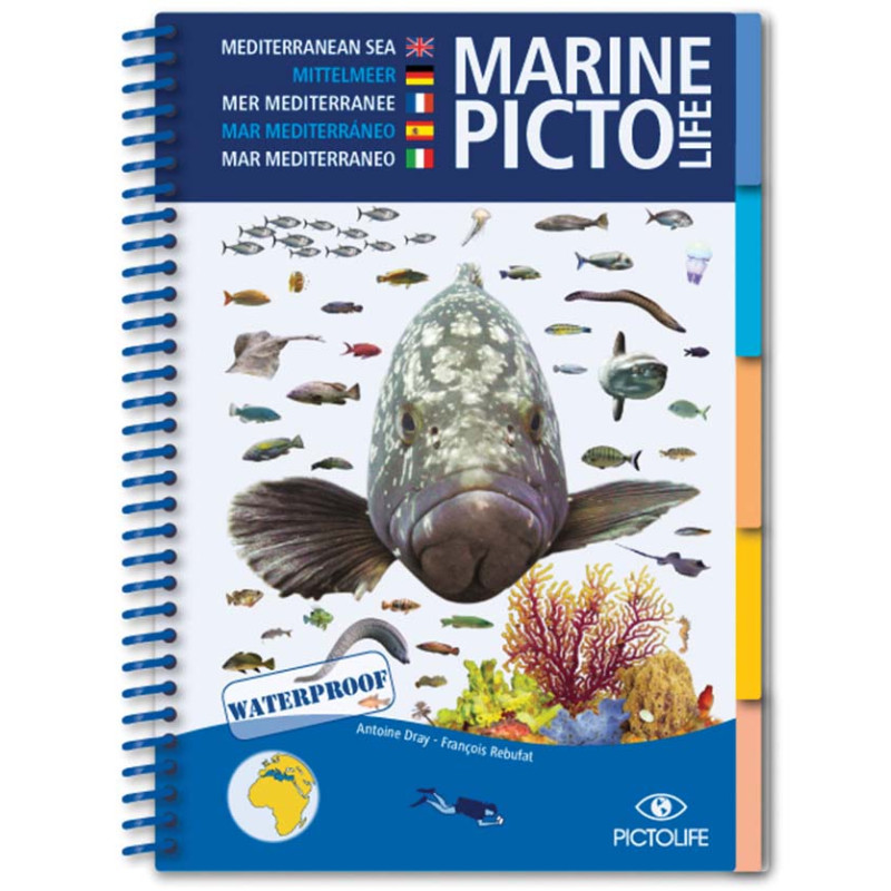 Guide marine Pictolife - Mer Méditerranée