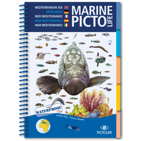 Pictolife Marine Guide - Mediterranean Sea