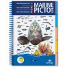 Guide marine Pictolife - Mer Méditerranée