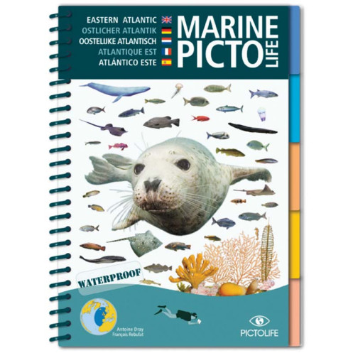 Guide marine Pictolife - Atlantique Est Guide marine Pictolife - Atlantique Est