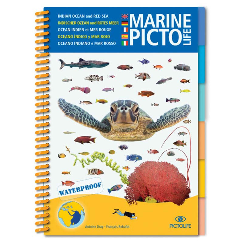 Guide marine Pictolife - Océan Indien et Mer Rouge