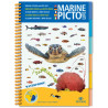 Guide marine Pictolife - Océan Indien et Mer Rouge