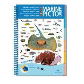 Guide marine Pictolife - Océan Pacifique