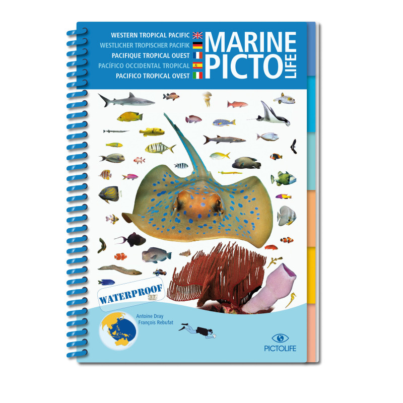 Guide marine Pictolife - Océan Pacifique