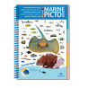 Guide marine Pictolife - Océan Pacifique