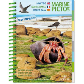 Guide marine Pictolife - Marée basse