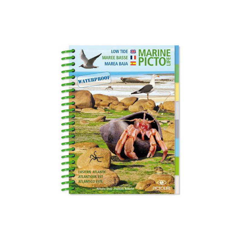 Guide marine Pictolife - Marée basse