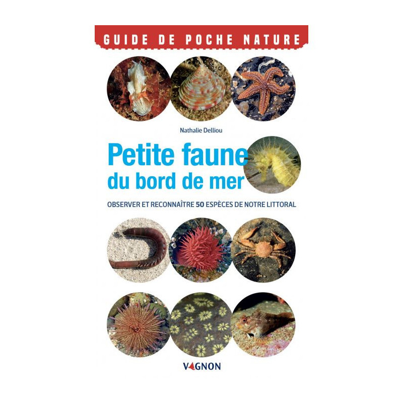 Guide de poche nature : Petite faune du bord de mer