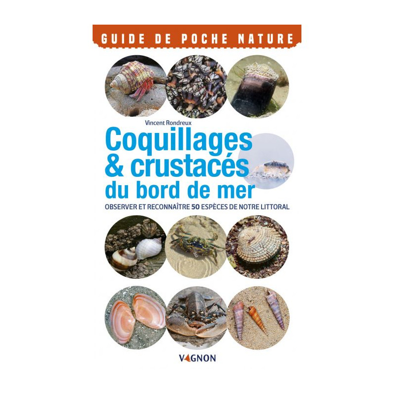 Guide de poche nature : Coquillages & crustacés du bord de mer