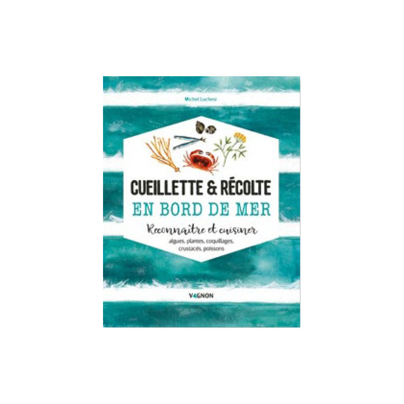 Cueillette et récolte en bord de mer