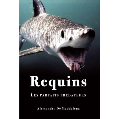 Requins, les parfaits prédateurs