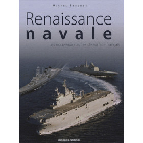 Renaissance navale, les nouveaux navires de surface français
