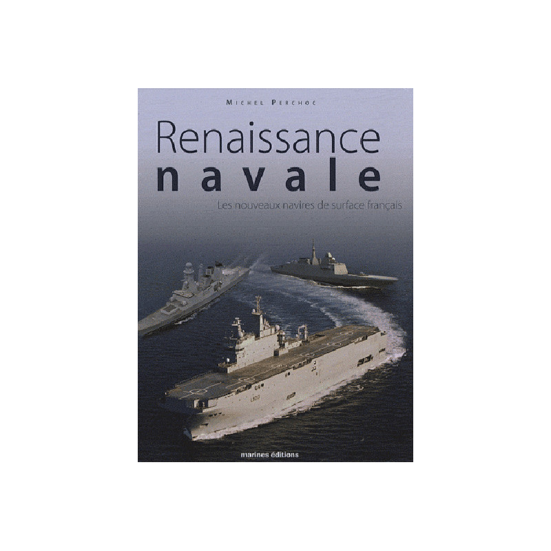 Renaissance navale, les nouveaux navires de surface français