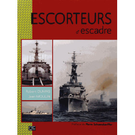 Escorteurs d'escadre