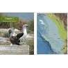A boater's guidebook - Pacific Mexico