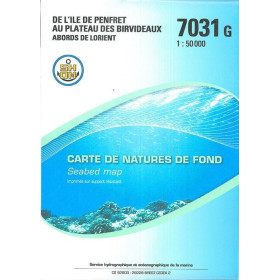 Shom G - 7031G - De l'île de Penfret au Plateau des Birvideaux - Abords de Lorient