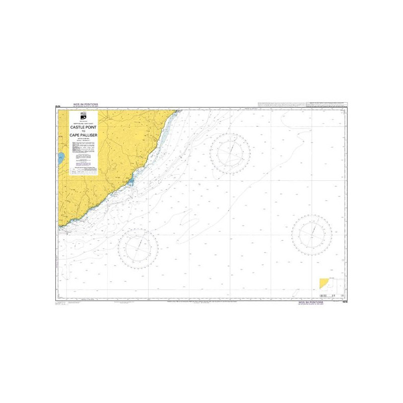 Land Information New Zealand - NZ58 - Castle Point to Cape Palliser