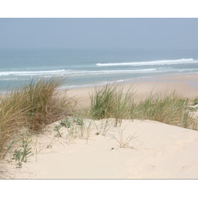 Lampe plage des demoiselles dune