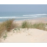 Lampe plage des demoiselles dune