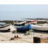Lampe plage des demoiselles duris