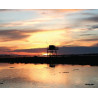 Lampe plage des demoiselles Carlet