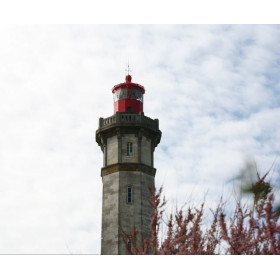 Plage des demoiselles's lamp Whale lighthouse