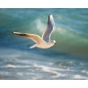 Lampe plage des demoiselles Mouette