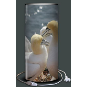 Lampe plage des demoiselles Fou de Bassan