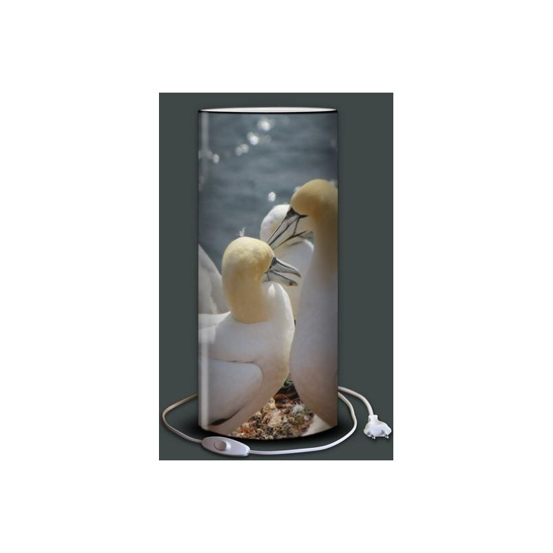 Lampe plage des demoiselles Fou de Bassan