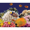 Lampe plage des demoiselles Corail
