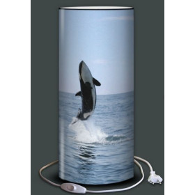 Lampe plage des demoiselles Orque