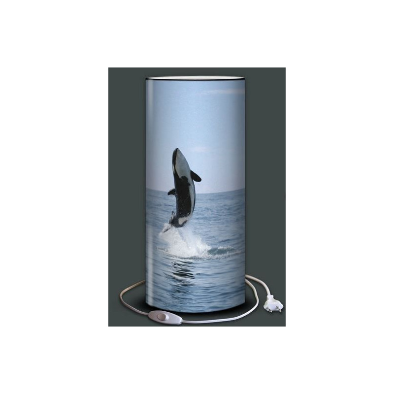 Lampe plage des demoiselles Orque