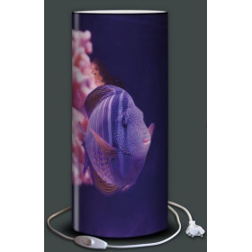Lampe plage des demoiselles demoiselle