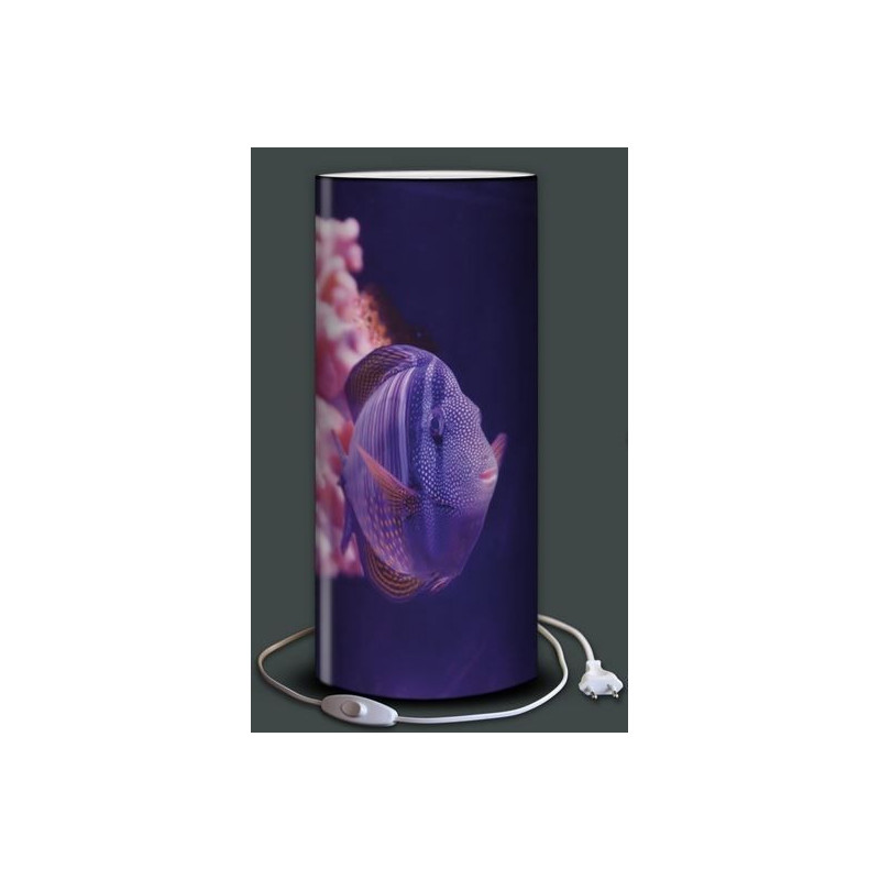 Lampe plage des demoiselles demoiselle