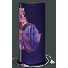 Lampe plage des demoiselles demoiselle