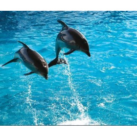 Lampe plage des demoiselles Saut de dauphins