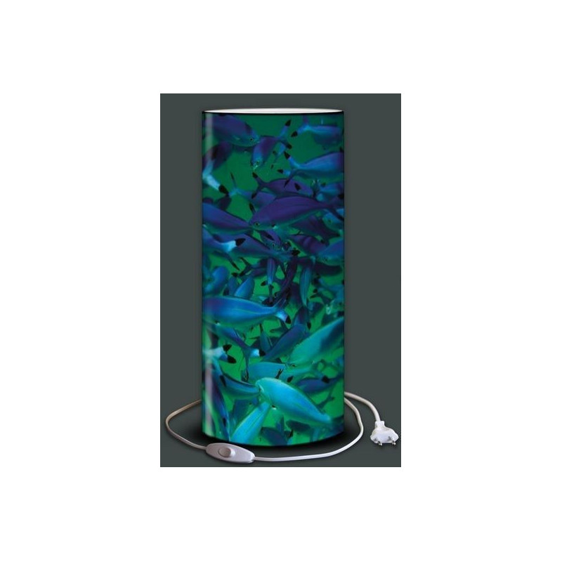 Lampe plage des demoiselles Alevins