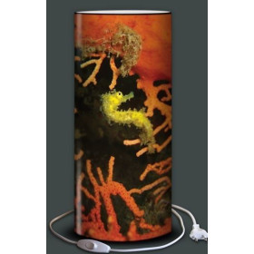 Lampe plage des demoiselles Hippocampe