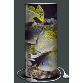 Lampe plage des demoiselles Vivabeau