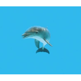 Lampe Plage des demoiselles dauphins