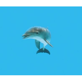 Lampe plage des demoiselles dauphins