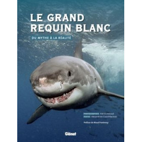 Le grand requin blanc